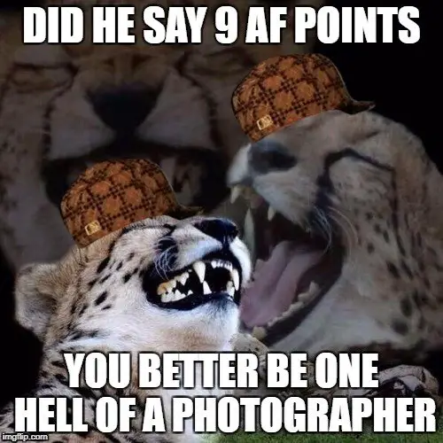 funny-meme-cheetah