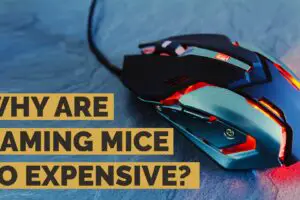 Why Are Gaming Mice So Expensive? Best Budget Gaming Mice!